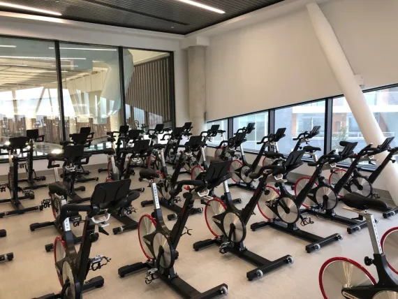 Cycle Studio