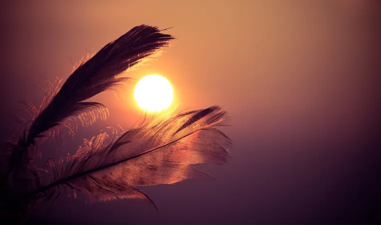 YMCA Statement for National Day for Truth and Reconciliation 2022
